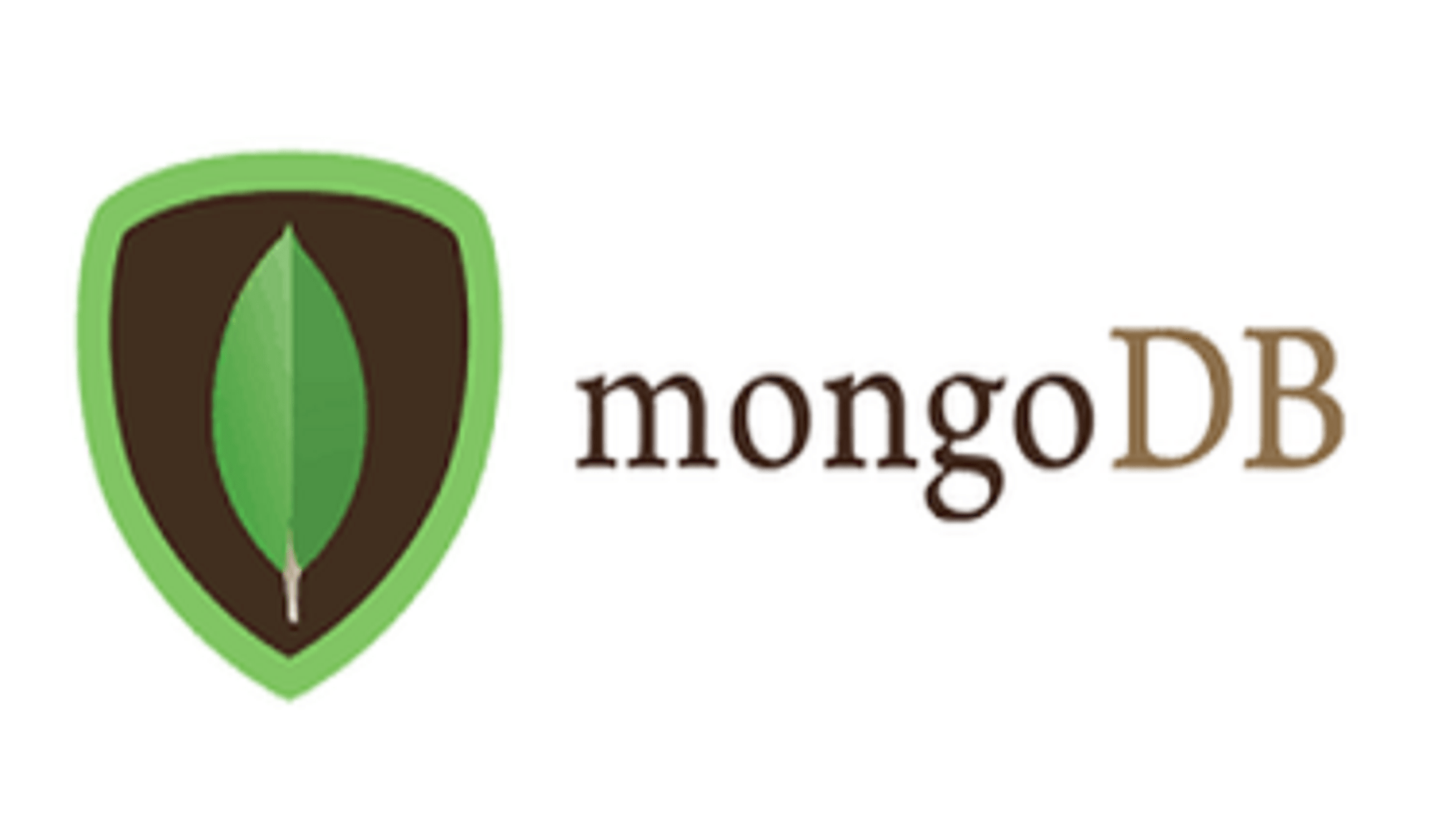 Mongo-db website build