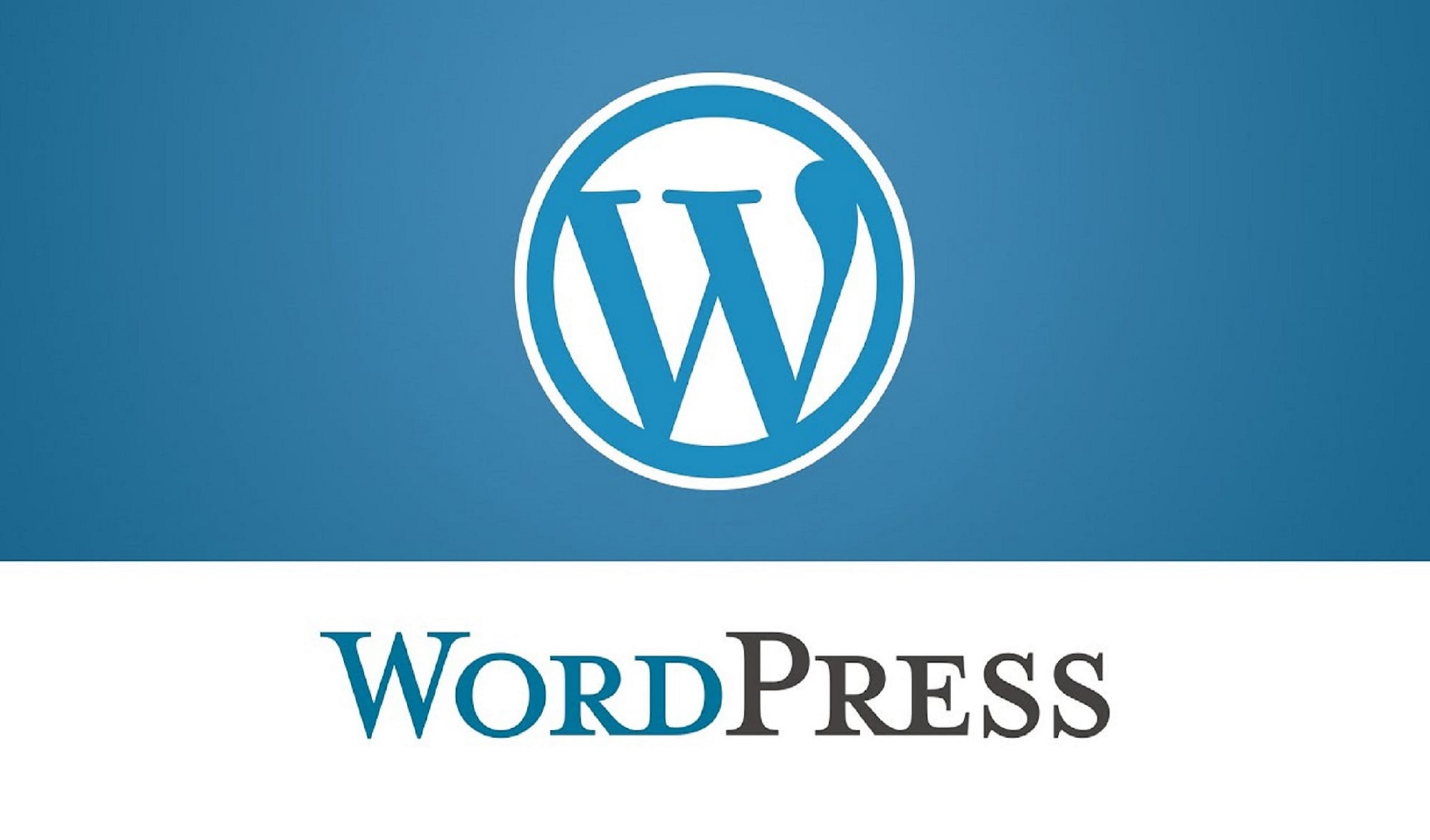 wordpress website build
